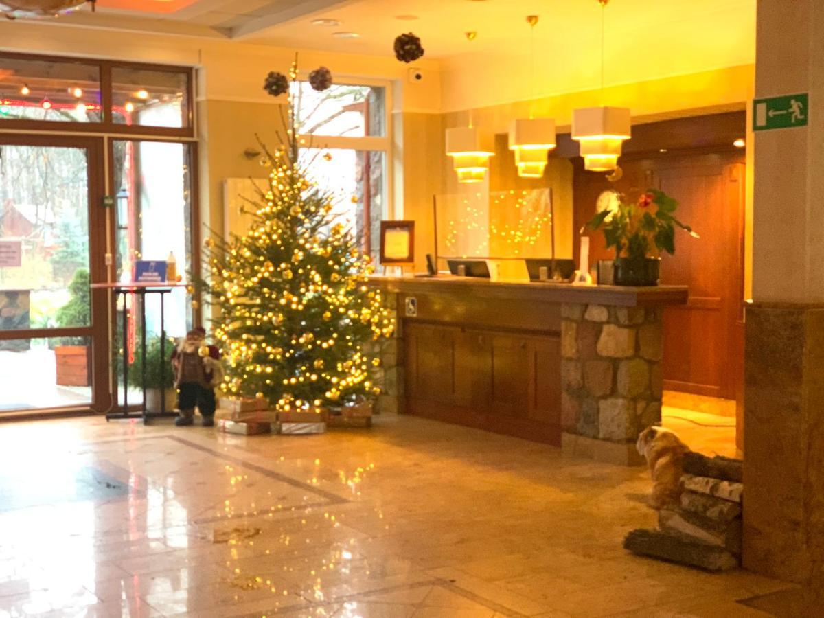 Hotel Albatros Serwy ภายนอก รูปภาพ